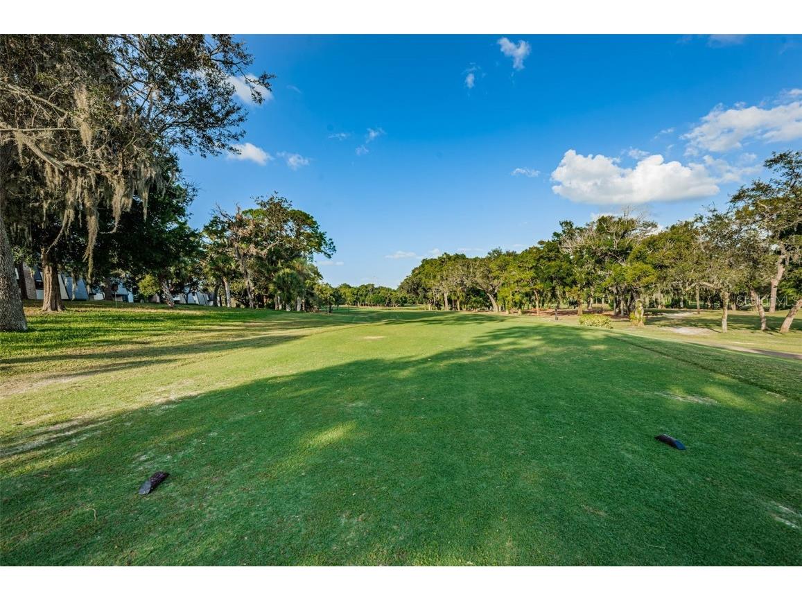 36750 Us Highway 19 #22-202 Palm Harbor FL 34684 TB8440032 image78