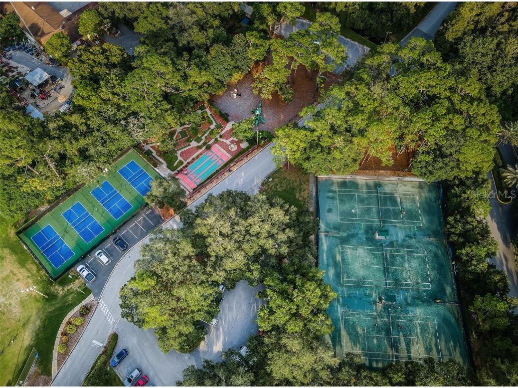 36750 Us Highway 19 #22-202 Palm Harbor FL 34684 TB8440032 image87