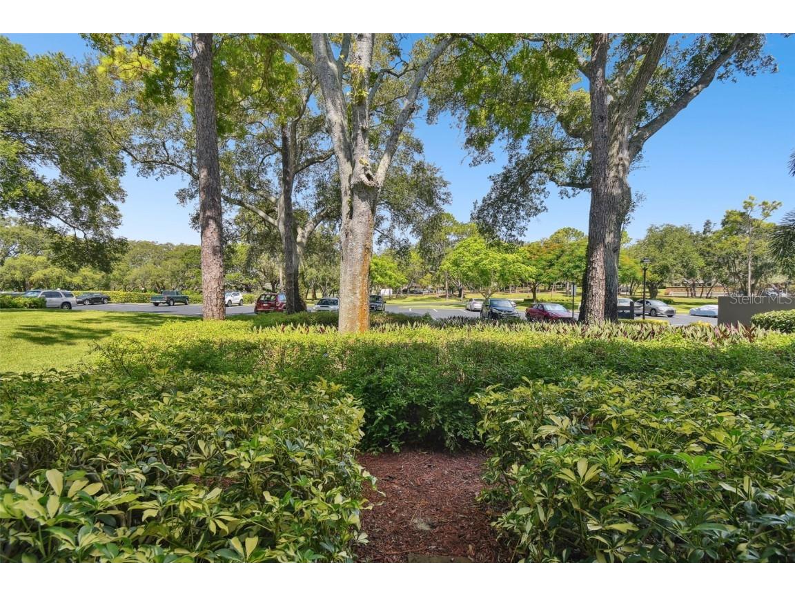 36750 Us Highway 19 #23-110 Palm Harbor FL 34684 U8251981 image27