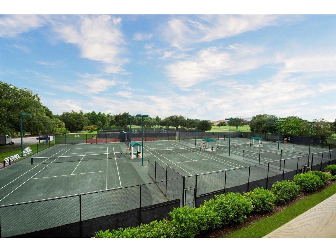 36750 Us Highway 19 #23-110 Palm Harbor FL 34684 U8251981 image42