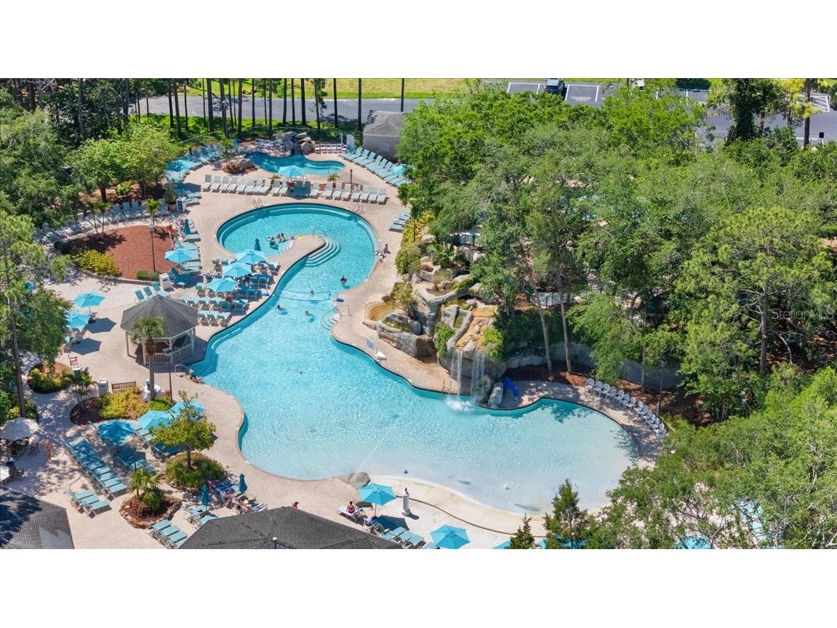 36750 Us Highway 19 #24-104 Palm Harbor FL 34683 TB8481703 image36