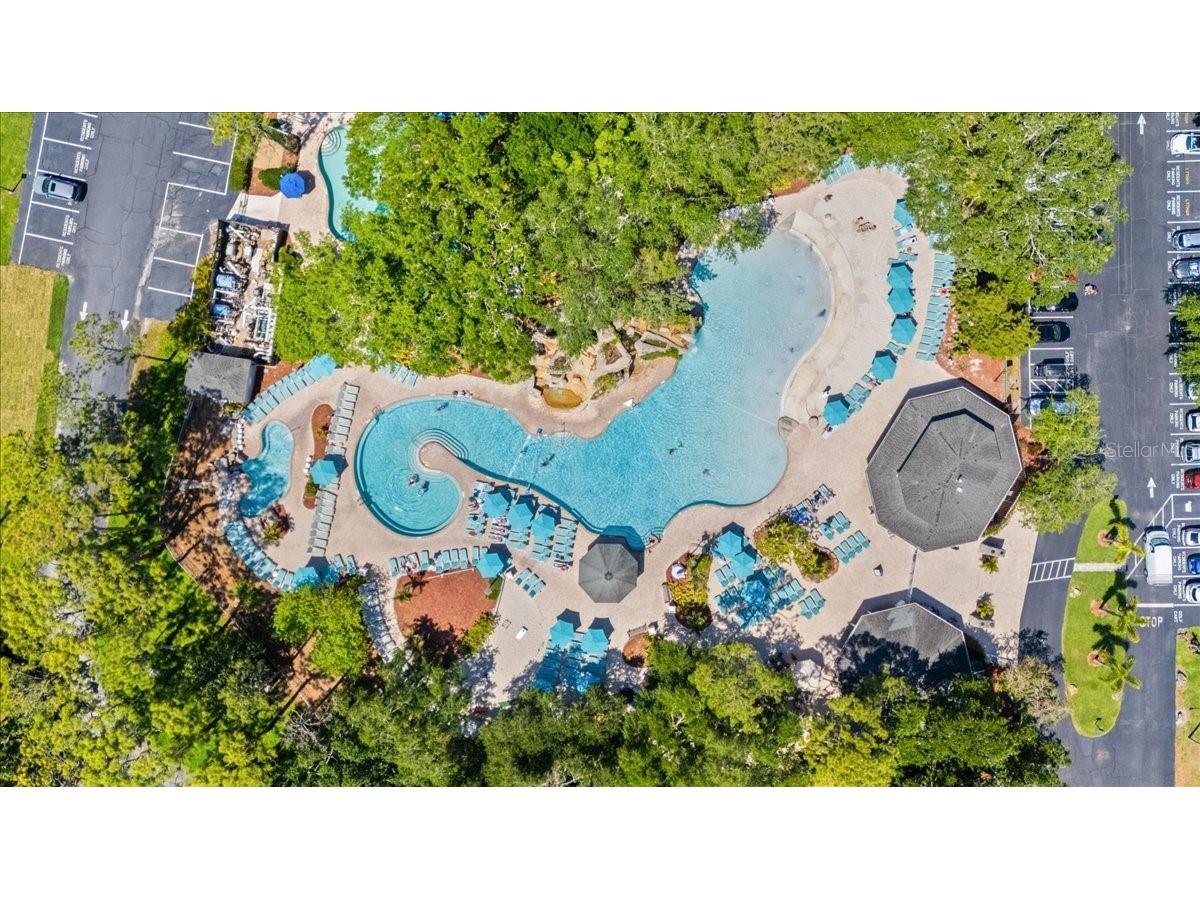 36750 Us Highway 19 #24-104 Palm Harbor FL 34683 TB8481703 image37