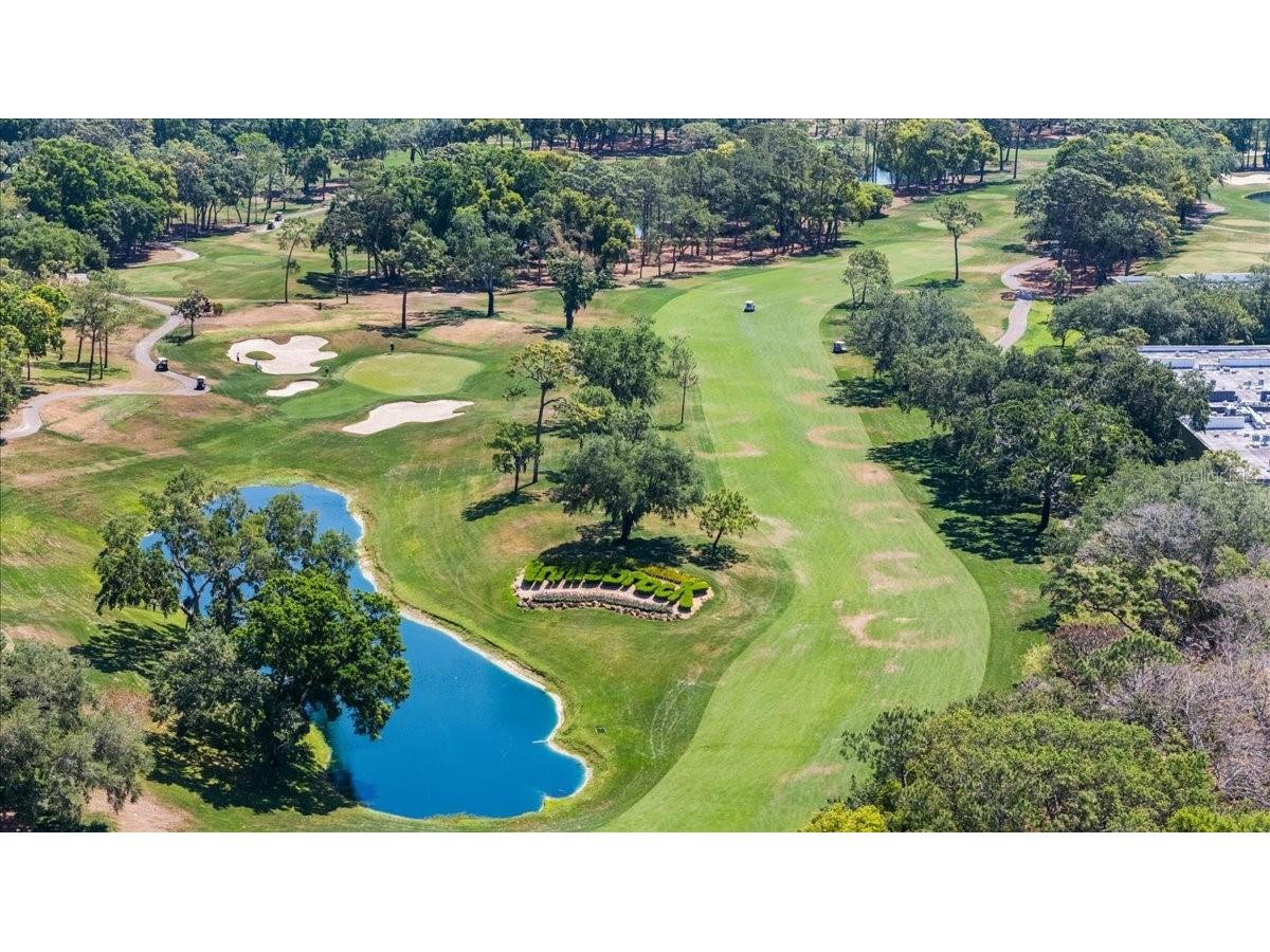 36750 Us Highway 19 #24-104 Palm Harbor FL 34683 TB8481703 image38