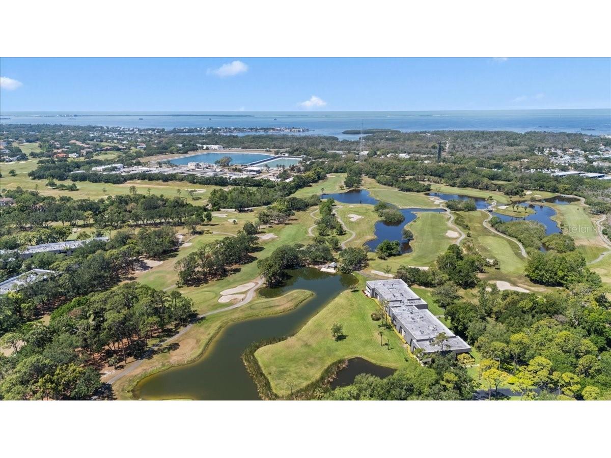 36750 Us Highway 19 #24-104 Palm Harbor FL 34683 TB8481703 image39