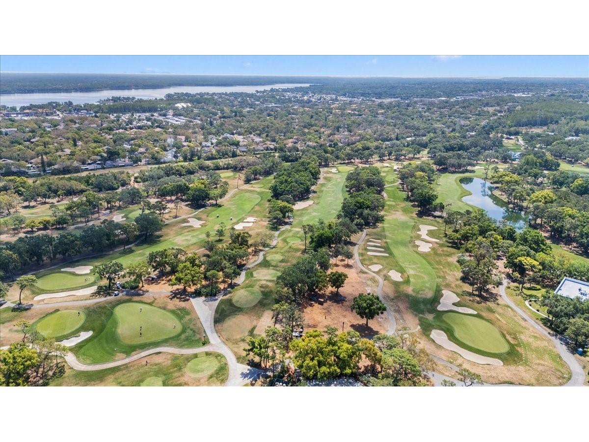 36750 Us Highway 19 #24-104 Palm Harbor FL 34683 TB8481703 image40