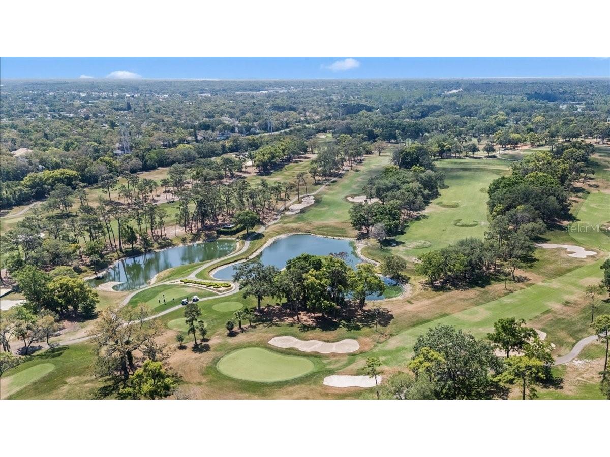 36750 Us Highway 19 #24-104 Palm Harbor FL 34683 TB8481703 image42