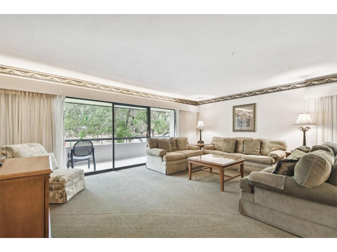 36750 Us Highway 19 #24212 Palm Harbor FL 34684 TB8416975 image14