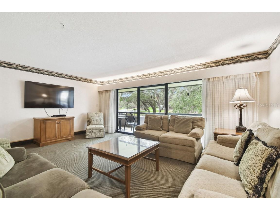 36750 Us Highway 19 #24212 Palm Harbor FL 34684 TB8416975 image17