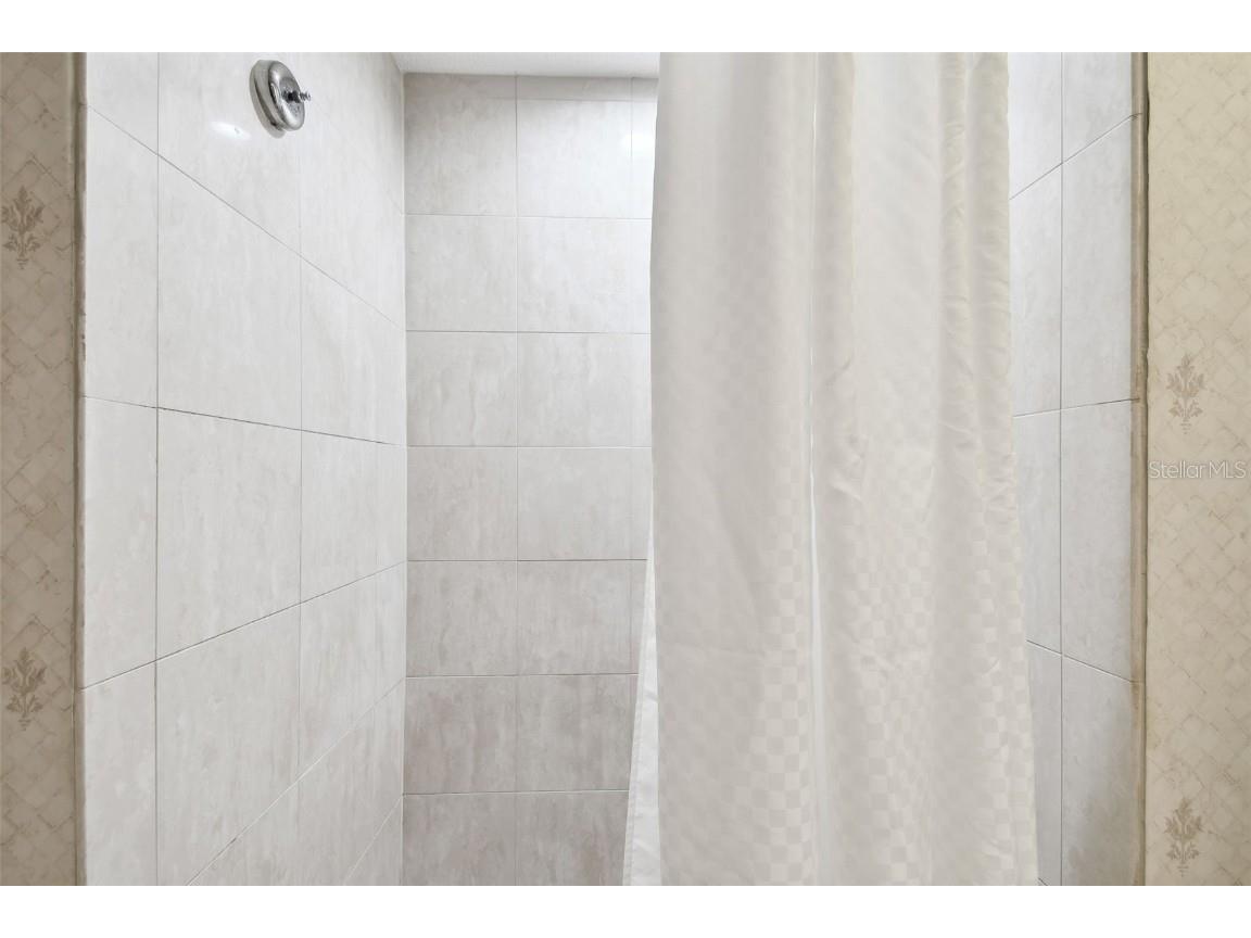 36750 Us Highway 19 #24212 Palm Harbor FL 34684 TB8416975 image24