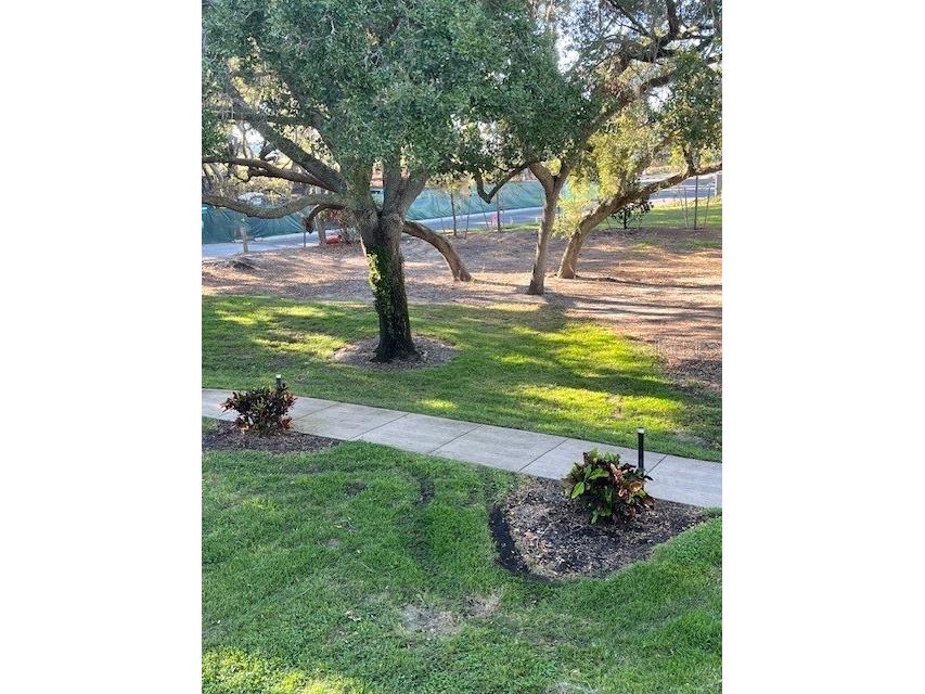 36750 Us Highway 19 #24212 Palm Harbor FL 34684 TB8416975 image42