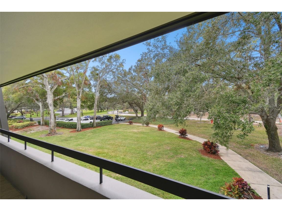 36750 Us Highway 19 #24212 Palm Harbor FL 34684 TB8416975 image43