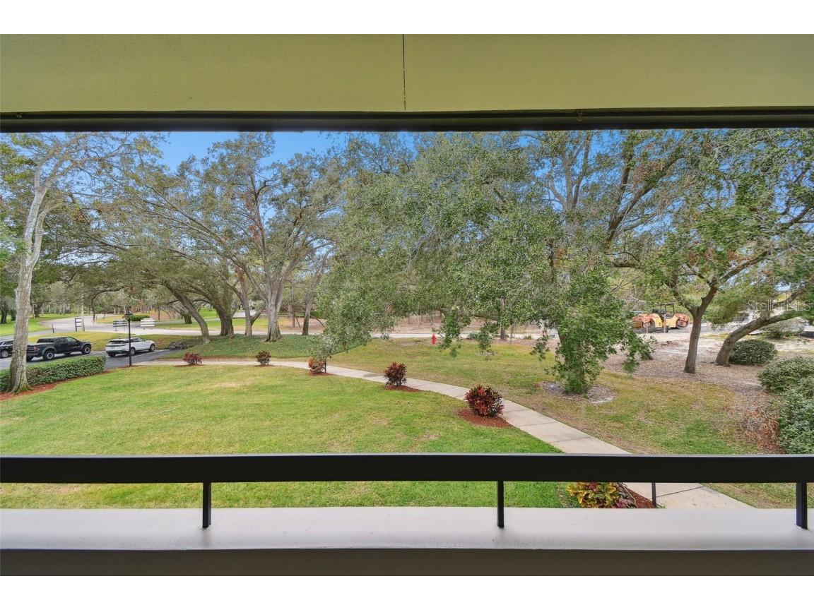 36750 Us Highway 19 #24212 Palm Harbor FL 34684 TB8416975 image44