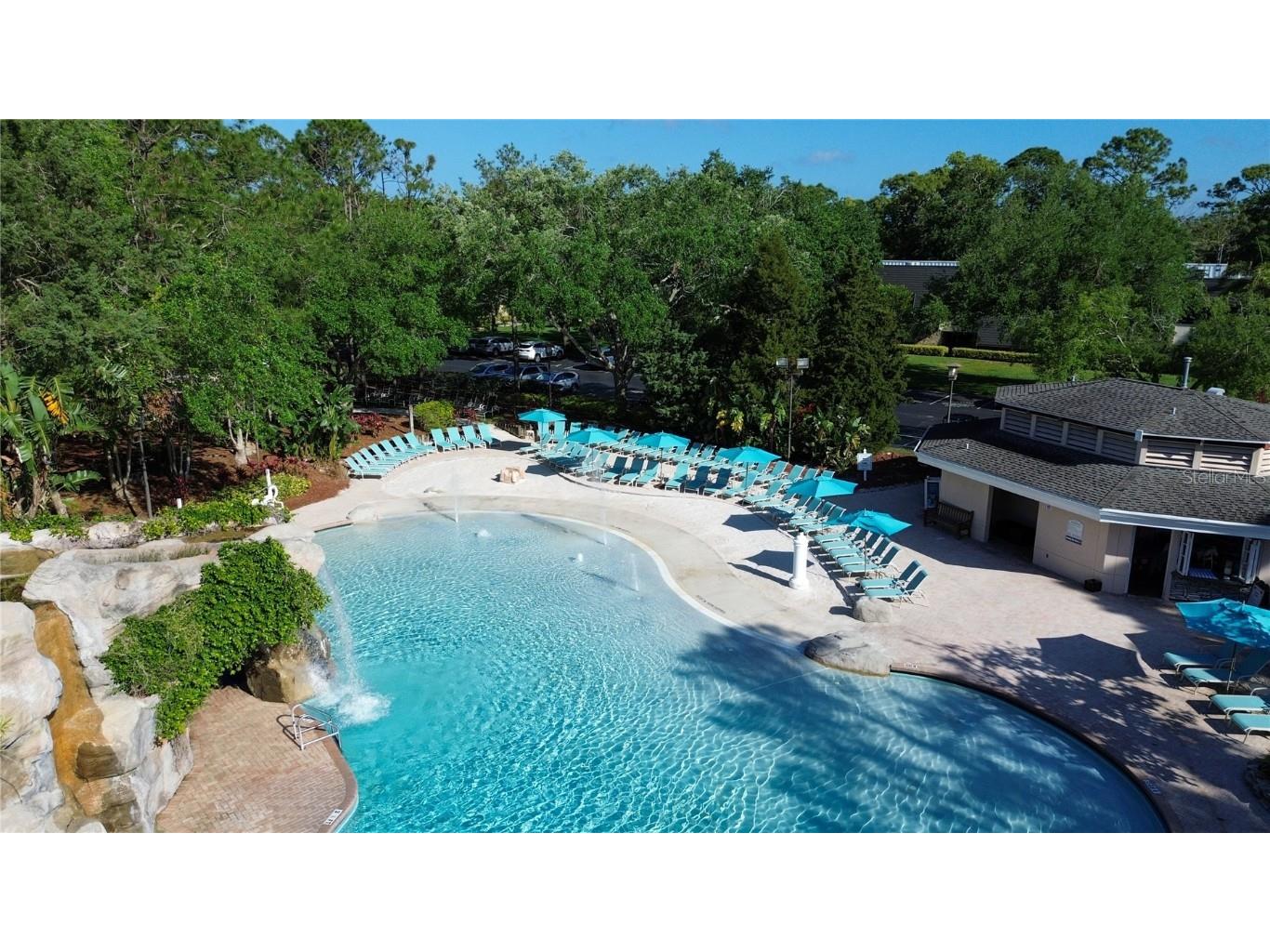 36750 Us Highway 19 #24212 Palm Harbor FL 34684 TB8416975 image53