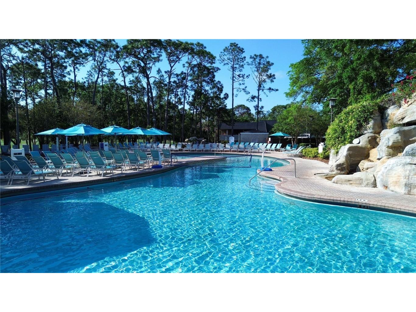 36750 Us Highway 19 #24212 Palm Harbor FL 34684 TB8416975 image54