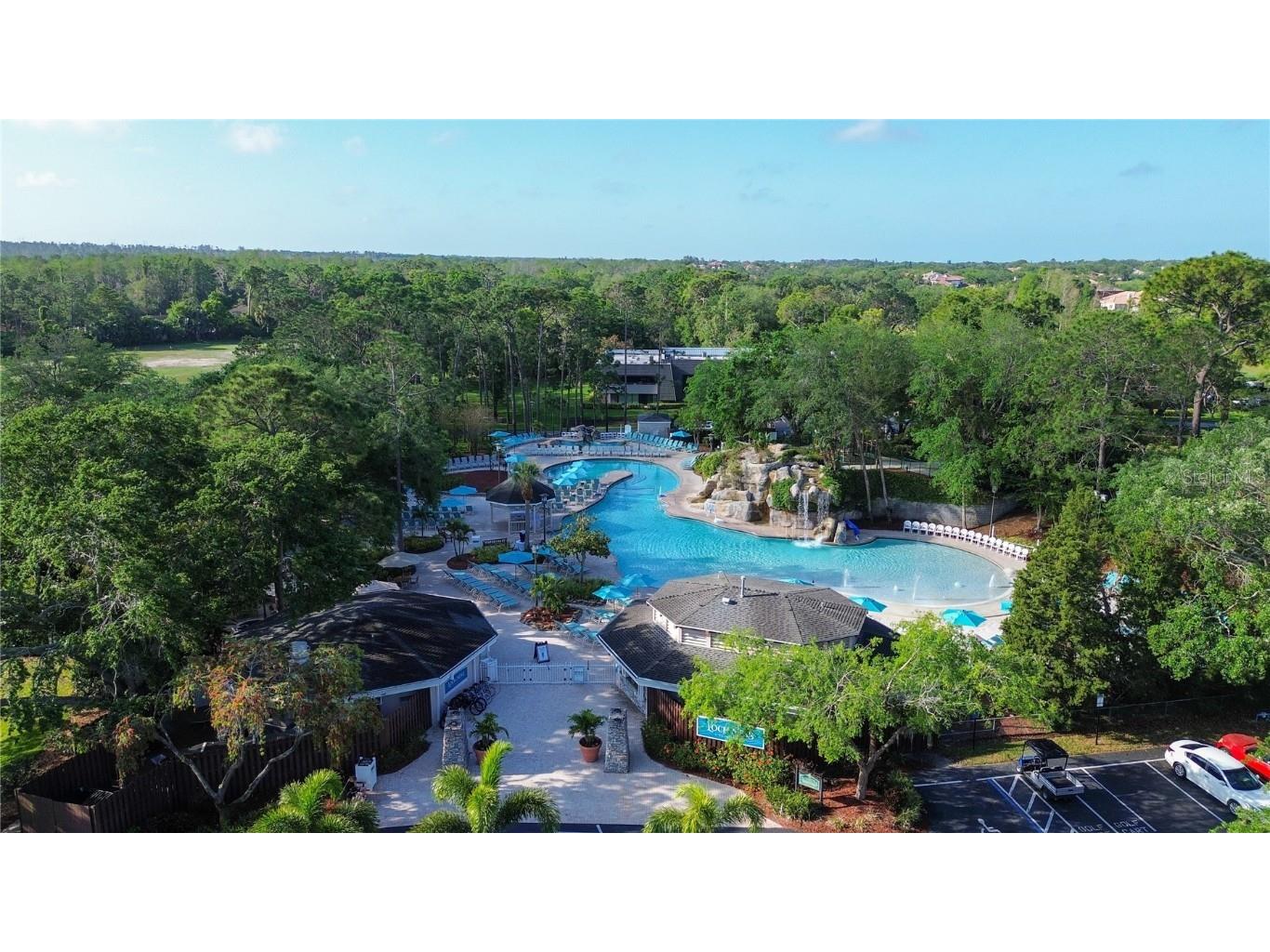 36750 Us Highway 19 #24212 Palm Harbor FL 34684 TB8416975 image55