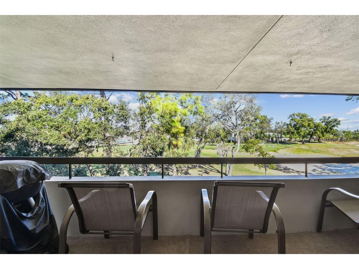 36750 Us Highway 19 #26301 Palm Harbor FL 34684 TB8438860 image53