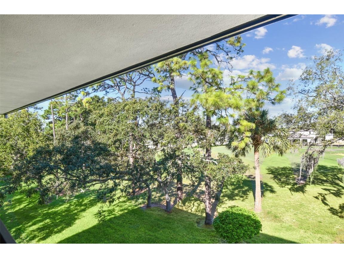 36750 Us Highway 19 #26301 Palm Harbor FL 34684 TB8438860 image55