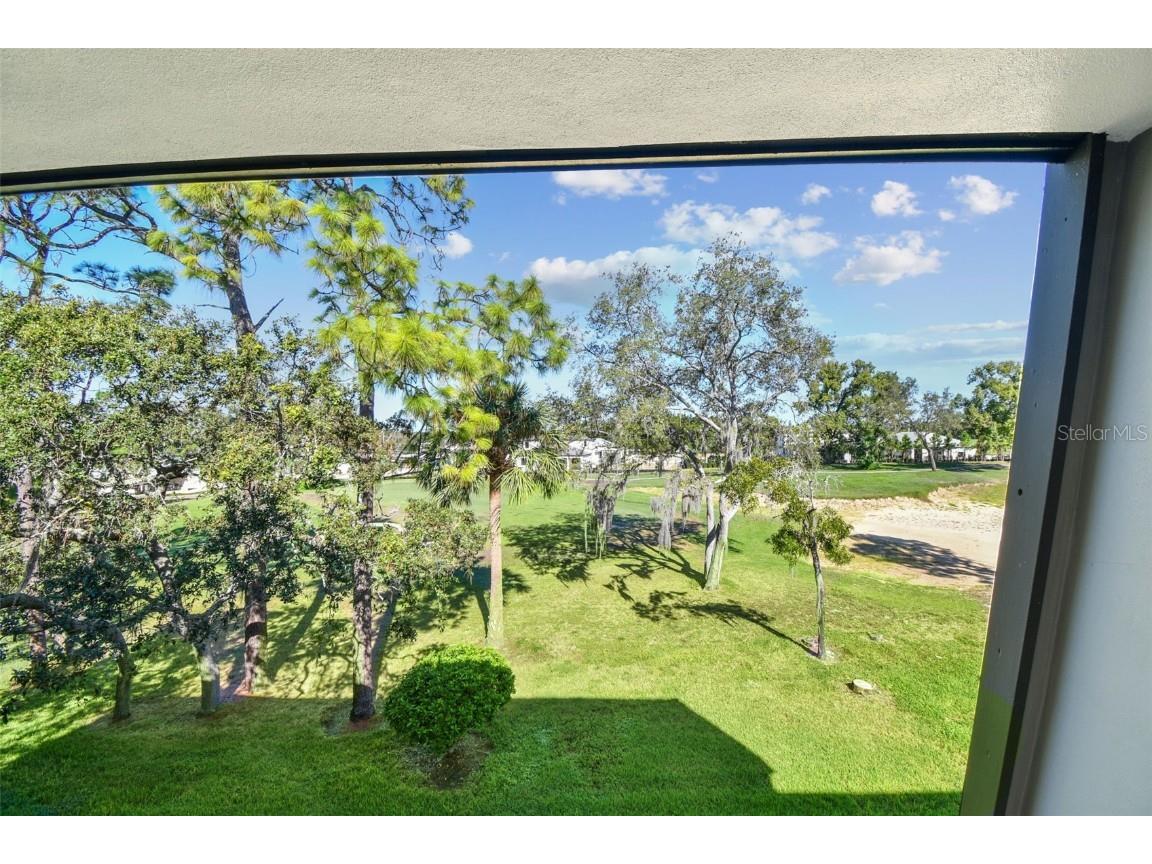 36750 Us Highway 19 #26301 Palm Harbor FL 34684 TB8438860 image56