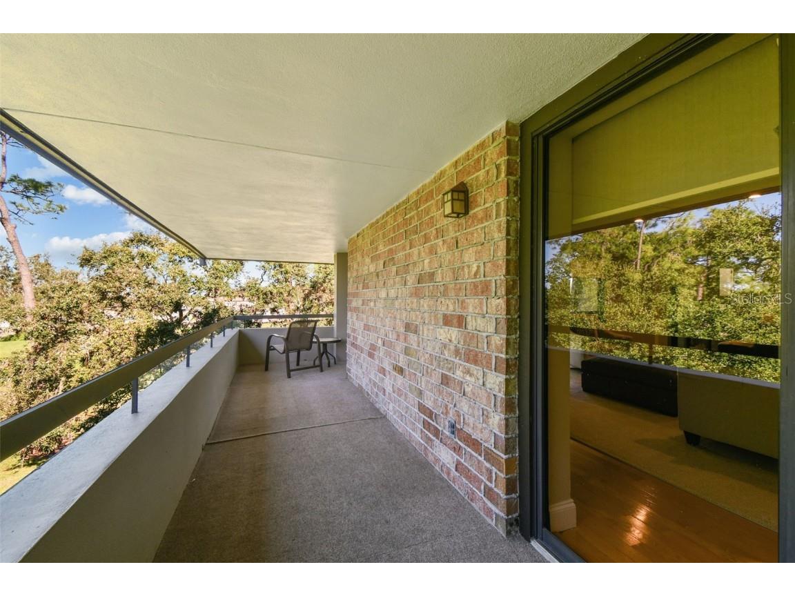 36750 Us Highway 19 #26301 Palm Harbor FL 34684 TB8438860 image58