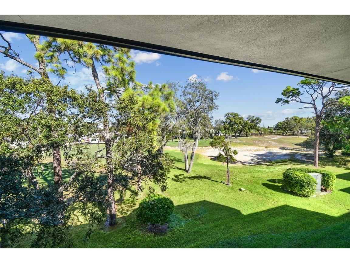 36750 Us Highway 19 #26301 Palm Harbor FL 34684 TB8438860 image61