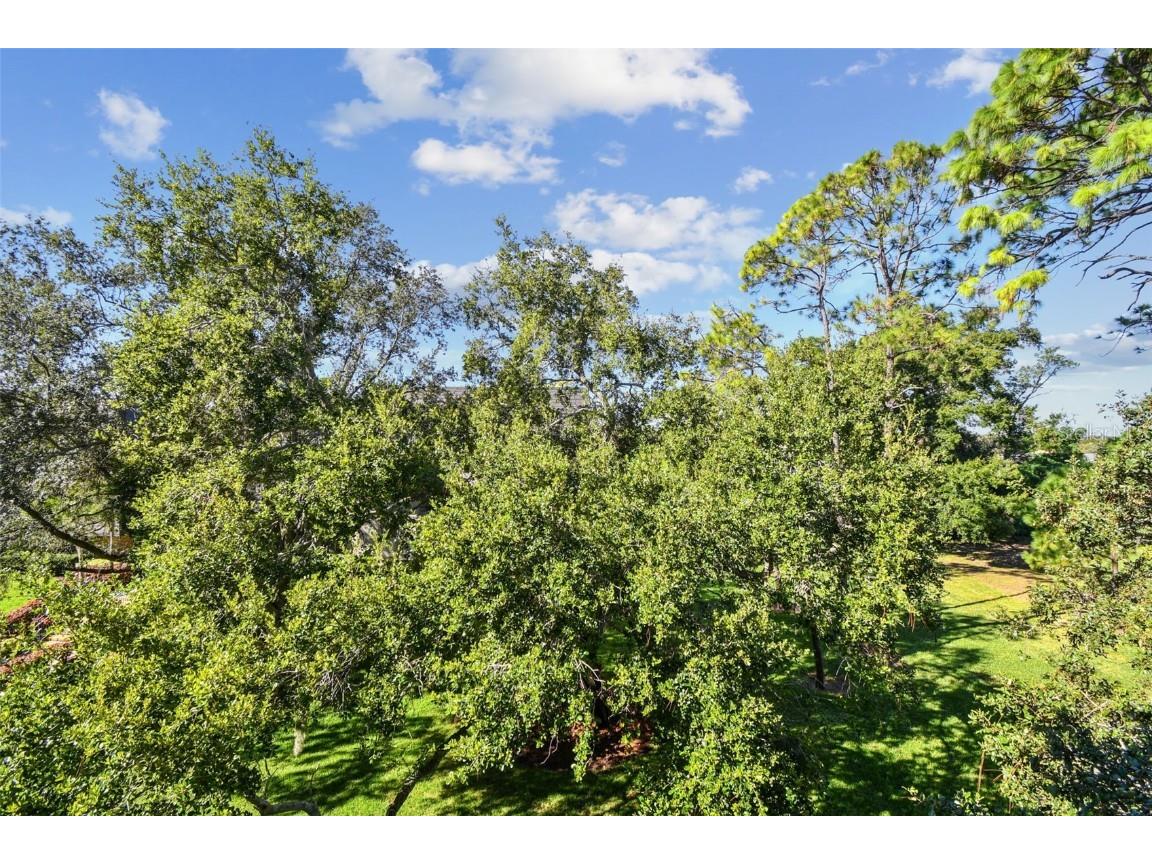 36750 Us Highway 19 #26301 Palm Harbor FL 34684 TB8438860 image62