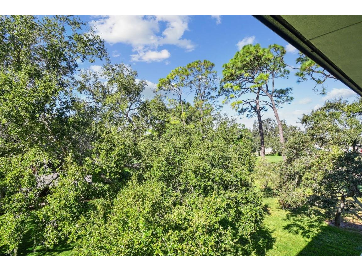 36750 Us Highway 19 #26301 Palm Harbor FL 34684 TB8438860 image63