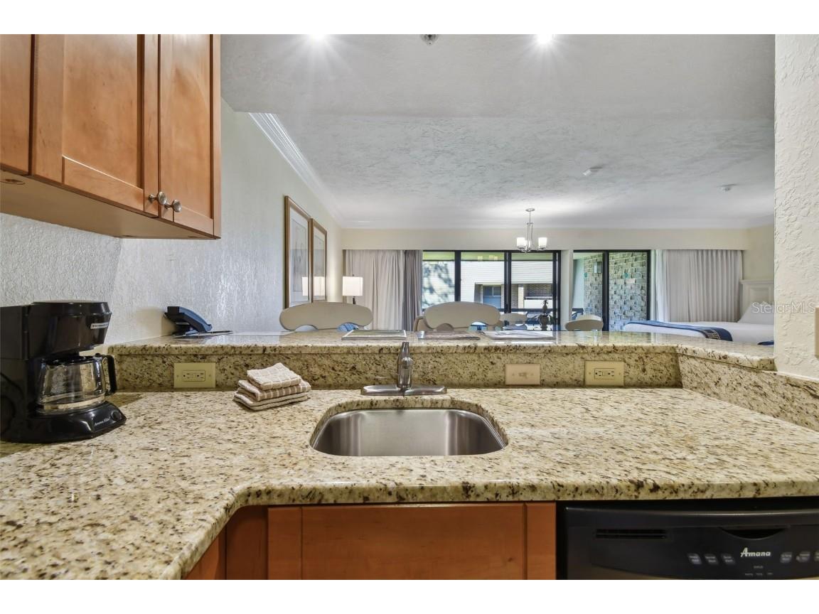 36750 Us Highway 19 N #01205 Palm Harbor FL 34684 TB8359691 image12