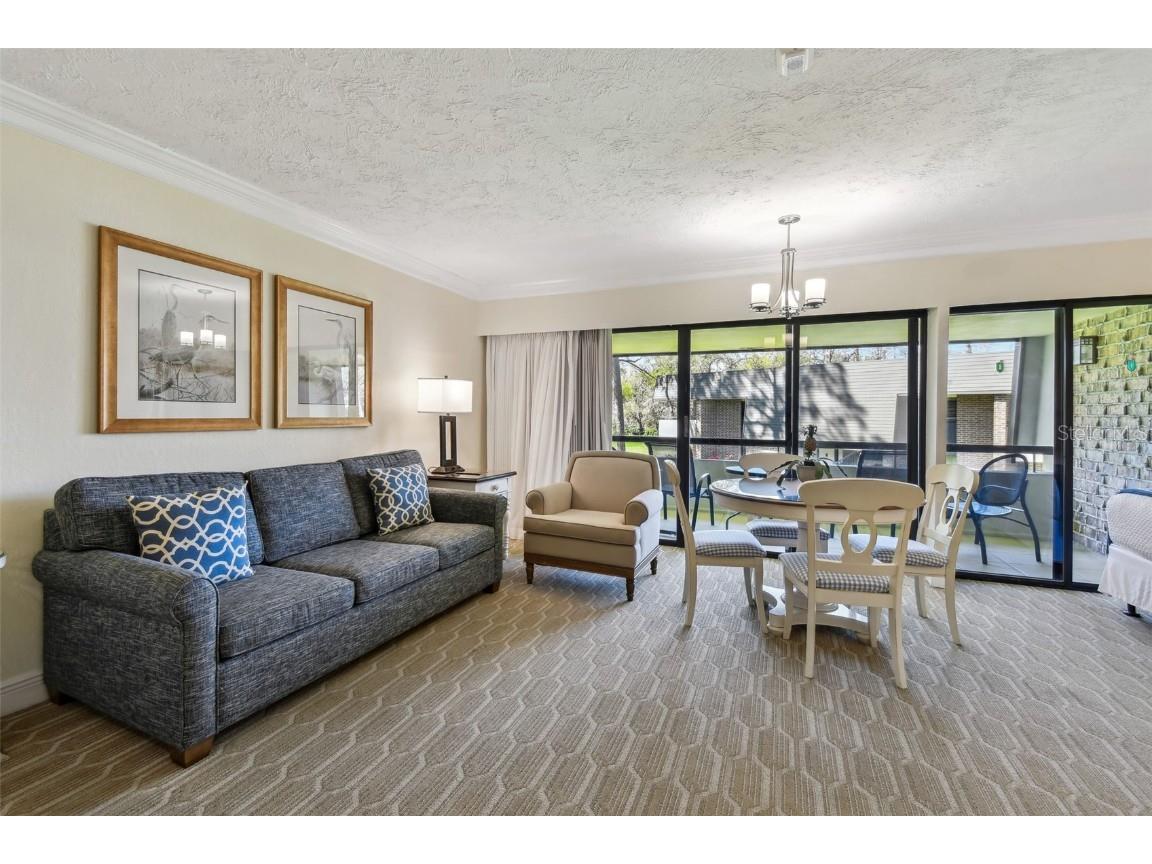 36750 Us Highway 19 N #01205 Palm Harbor FL 34684 TB8359691 image14