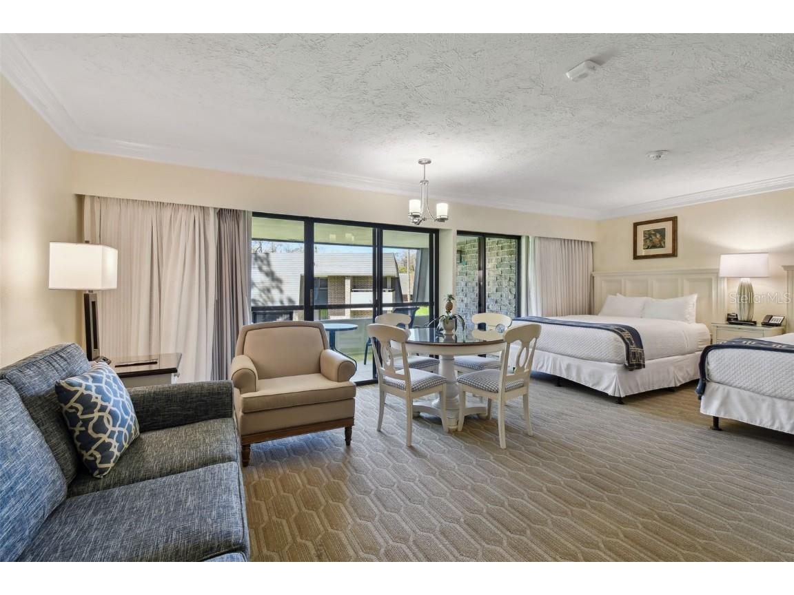 36750 Us Highway 19 N #01205 Palm Harbor FL 34684 TB8359691 image15