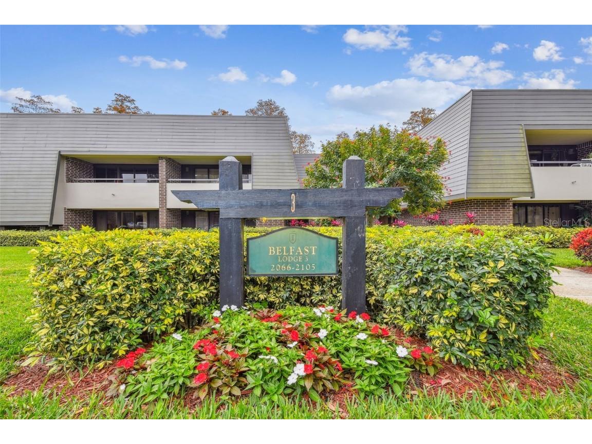 36750 Us Highway 19 N #02205 Palm Harbor FL 34684 TB8315534 image1