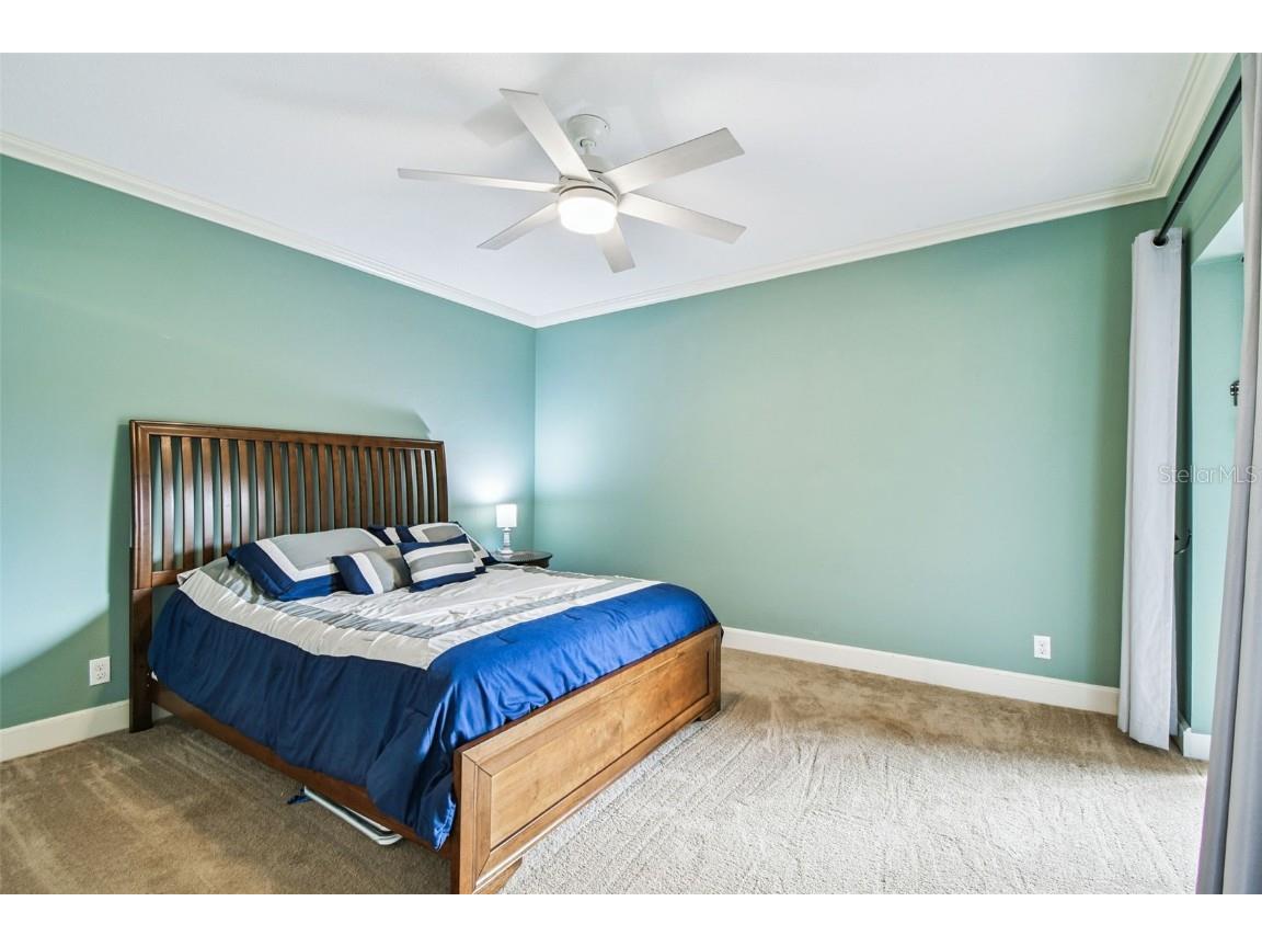 36750 Us Highway 19 N #04102 Palm Harbor FL 34684 TB8454937 image27