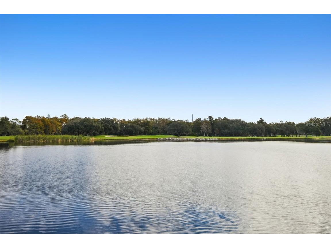 36750 Us Highway 19 N #04102 Palm Harbor FL 34684 TB8454937 image6