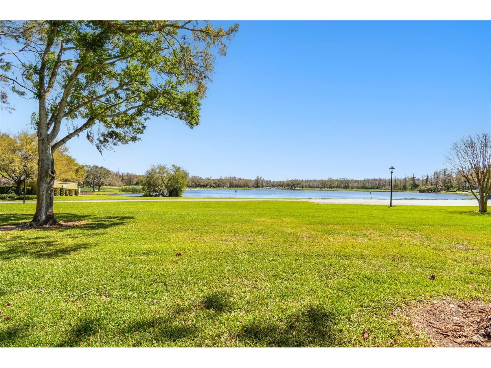 36750 Us Highway 19 N #04138 Palm Harbor FL 34684 TB8484761 image29