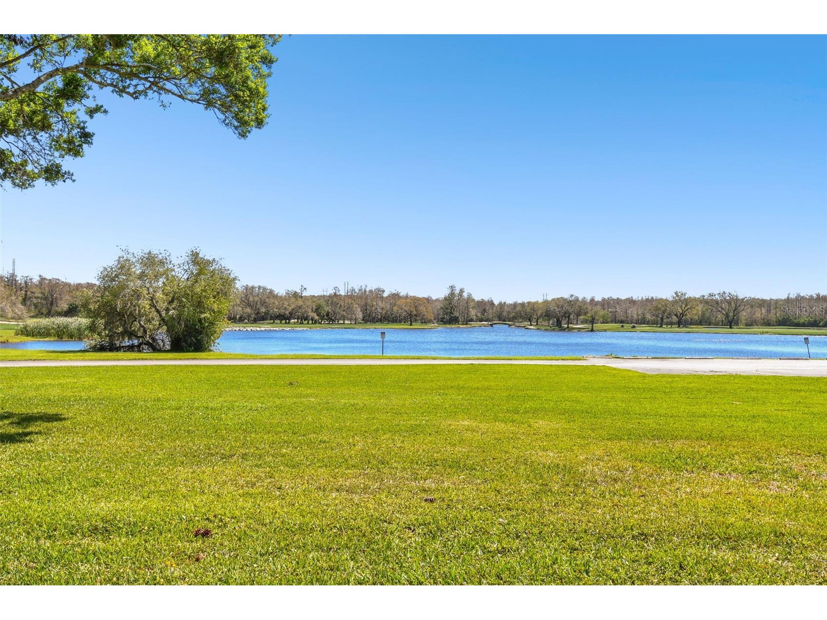 36750 Us Highway 19 N #04138 Palm Harbor FL 34684 TB8484761 image30