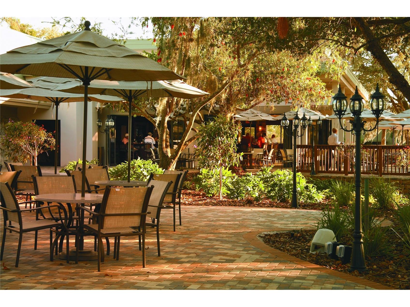 36750 Us Highway 19 N #04138 Palm Harbor FL 34684 TB8484761 image60