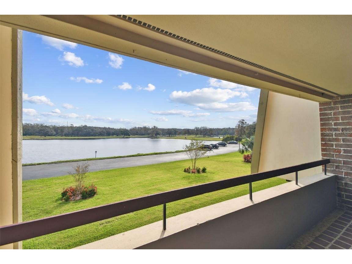 36750 Us Highway 19 N #04208 Palm Harbor FL 34684 TB8315522 image35