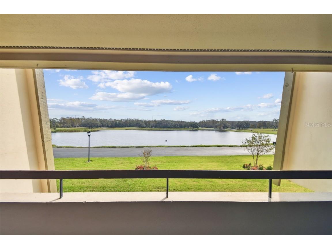 36750 Us Highway 19 N #04208 Palm Harbor FL 34684 TB8315522 image36