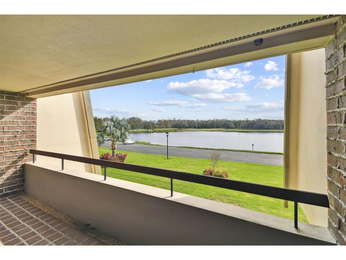 36750 Us Highway 19 N #04208 Palm Harbor FL 34684 TB8315522 image37