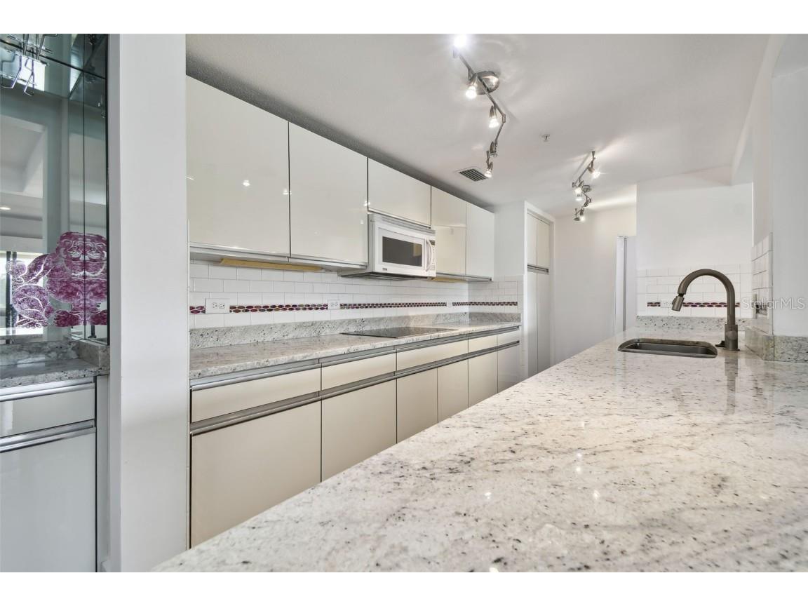 36750 Us Highway 19 N #04208 Palm Harbor FL 34684 TB8315522 image4