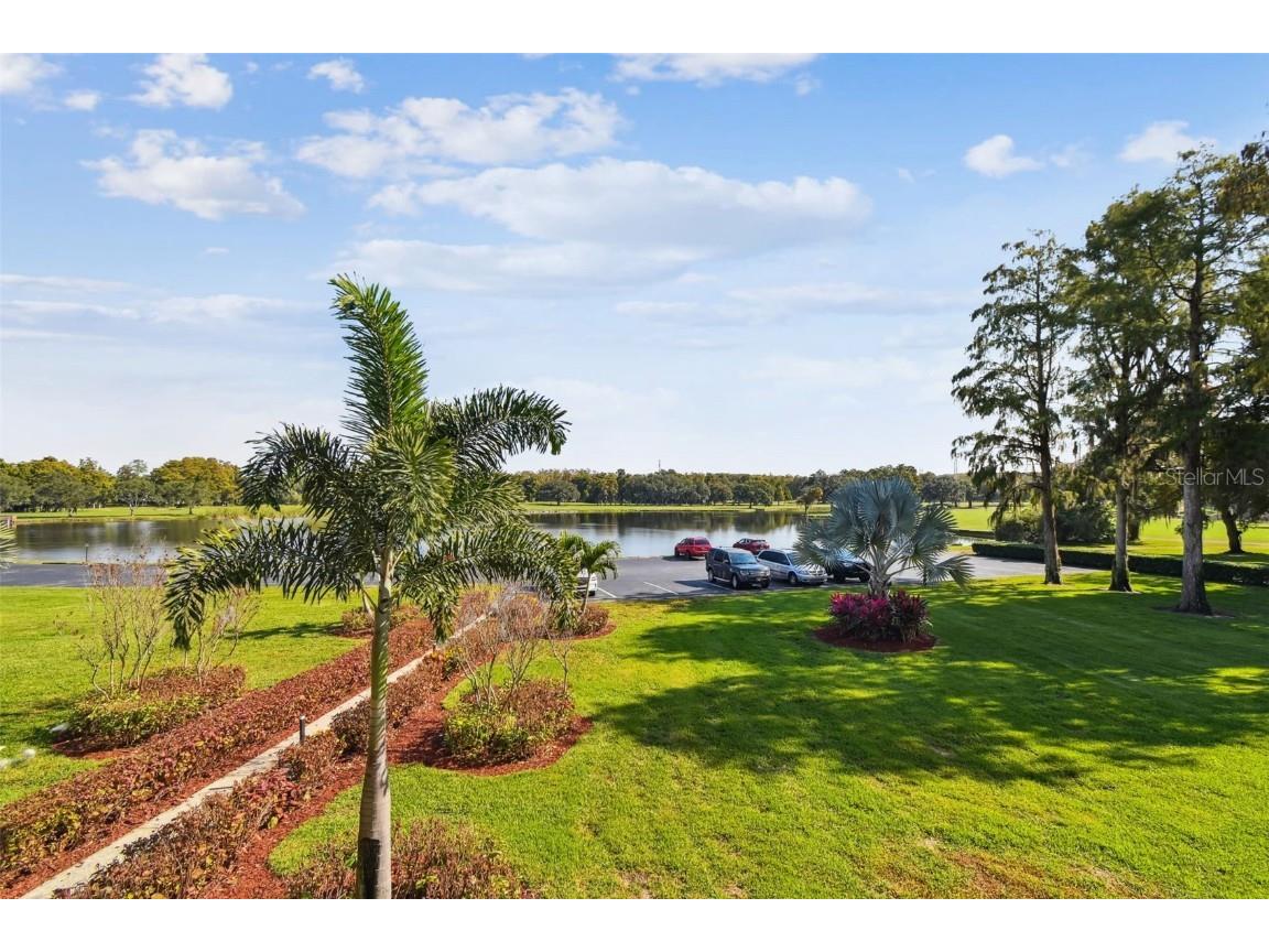 36750 Us Highway 19 N #04216 Palm Harbor FL 34684 TB8450432 image40