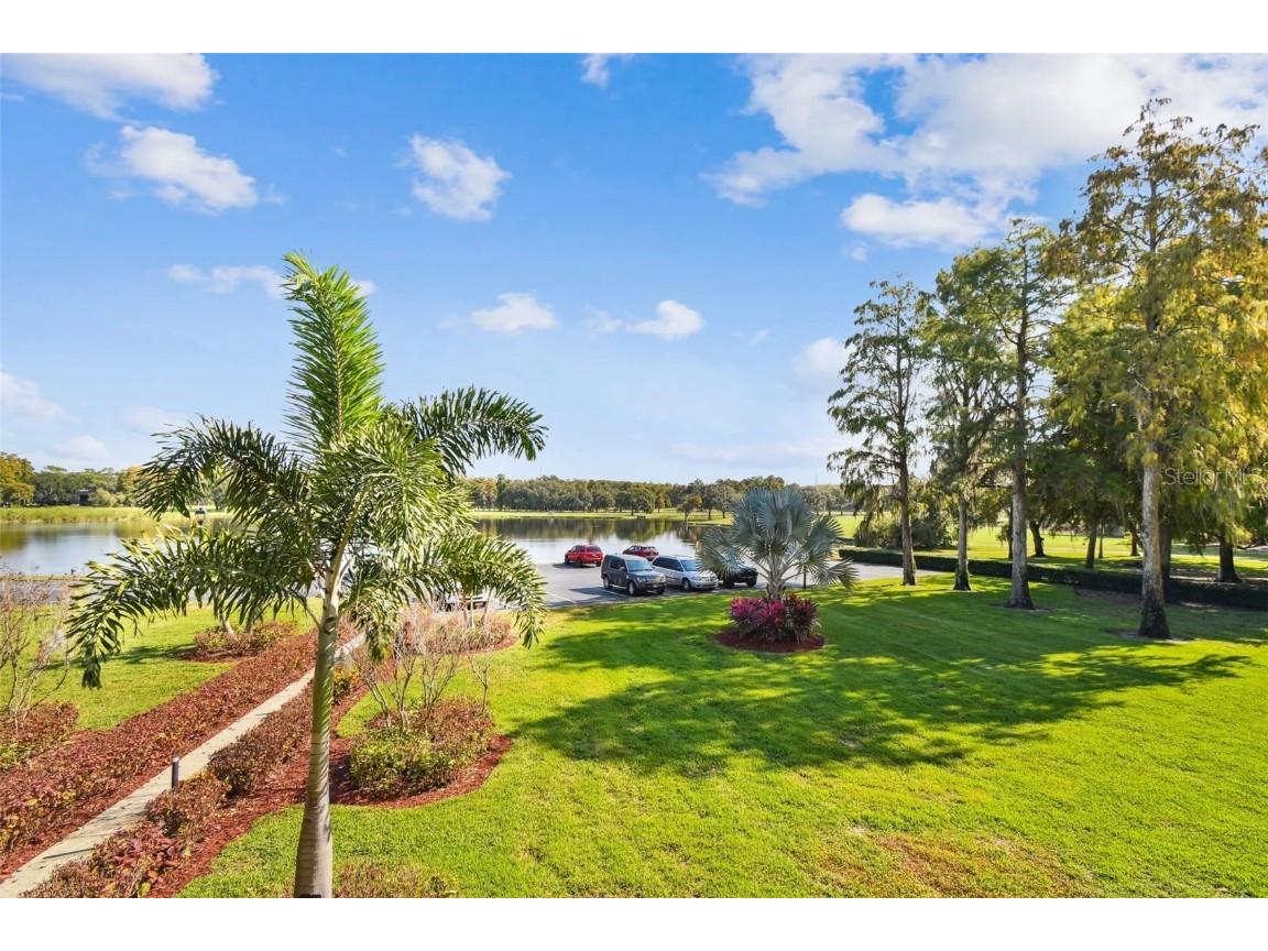 36750 Us Highway 19 N #04216 Palm Harbor FL 34684 TB8450432 image41