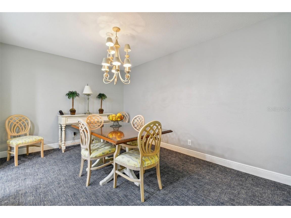 36750 Us Highway 19 N #04239 Palm Harbor FL 34684 U8206973 image13