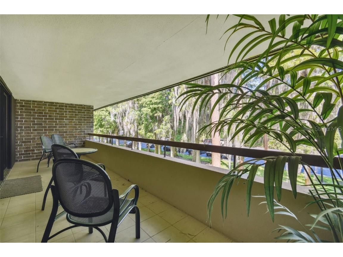 36750 Us Highway 19 N #04239 Palm Harbor FL 34684 U8206973 image3