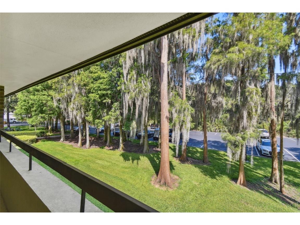 36750 Us Highway 19 N #04239 Palm Harbor FL 34684 U8206973 image4