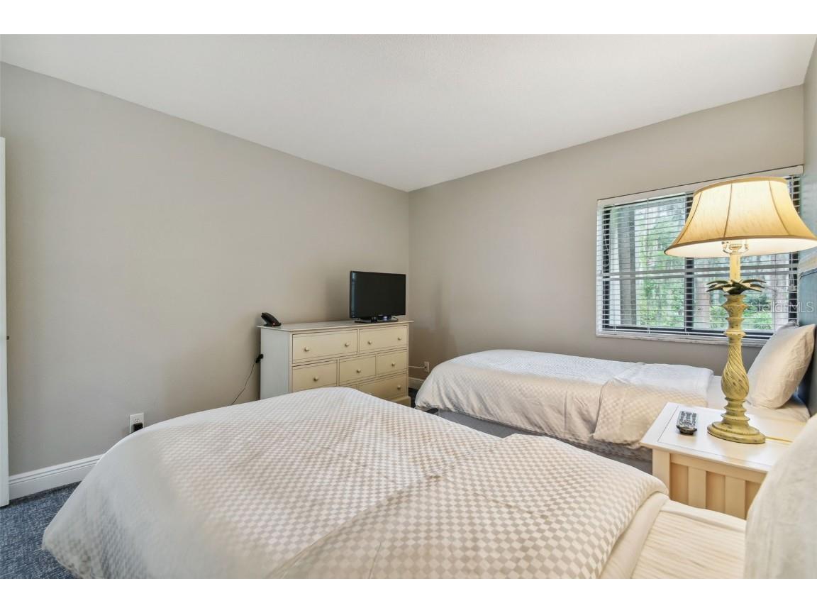 36750 Us Highway 19 N #04239 Palm Harbor FL 34684 U8206973 image43