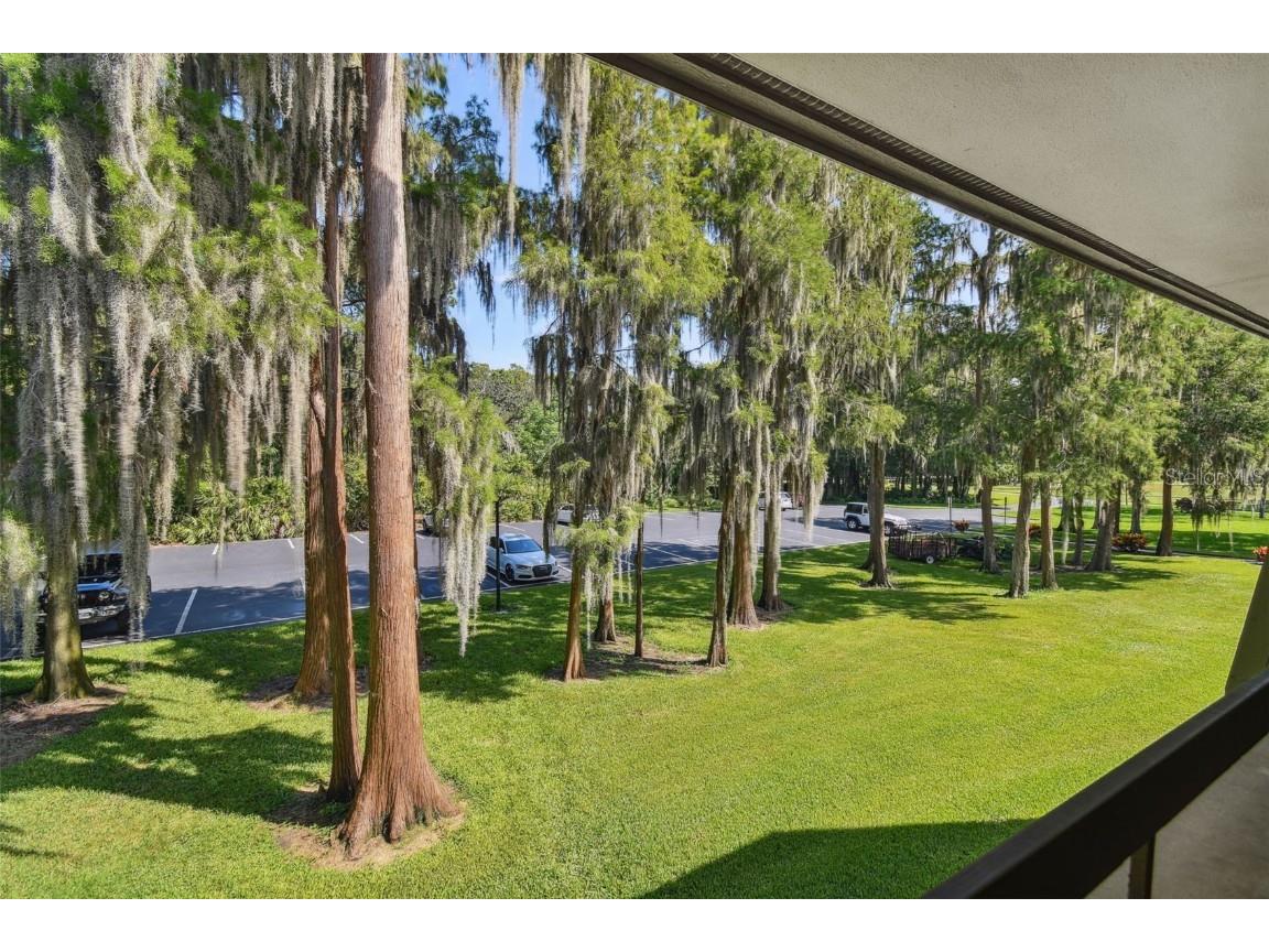 36750 Us Highway 19 N #04239 Palm Harbor FL 34684 U8206973 image5