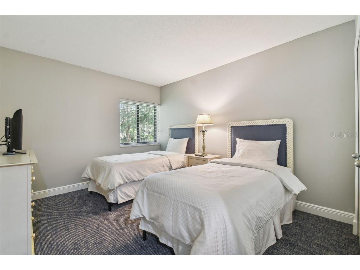 36750 Us Highway 19 N #04239 Palm Harbor FL 34684 U8206973 image52