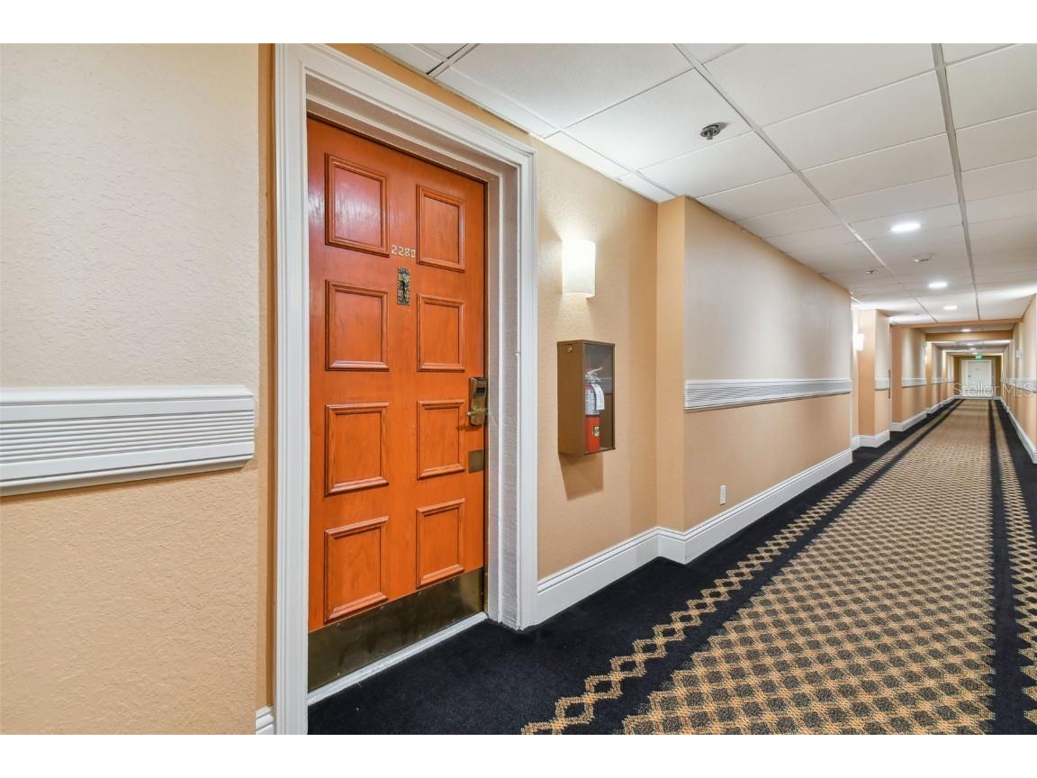 36750 Us Highway 19 N #04239 Palm Harbor FL 34684 U8206973 image53