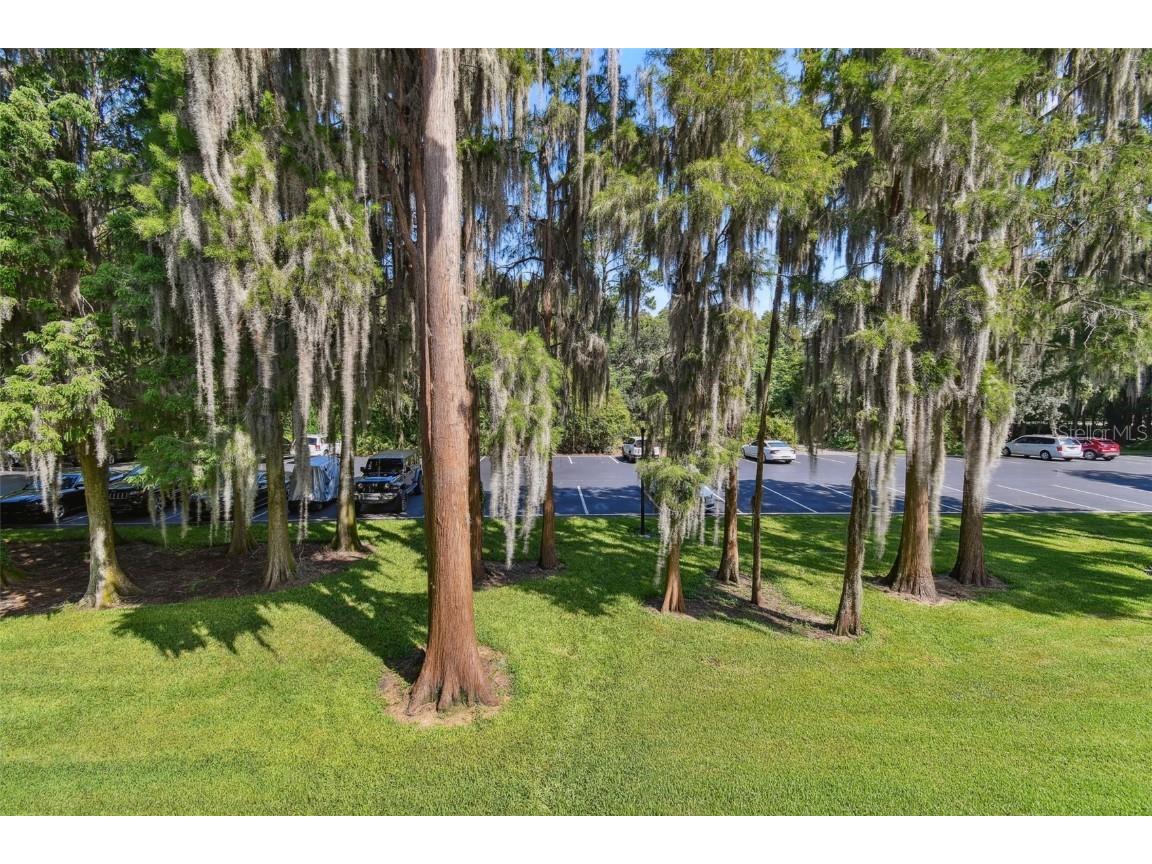 36750 Us Highway 19 N #04239 Palm Harbor FL 34684 U8206973 image6