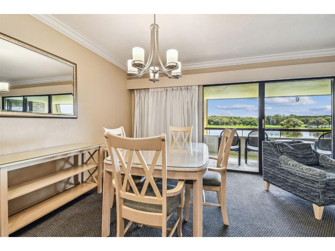 36750 Us Highway 19 N #04308 Palm Harbor FL 34684 TB8306986 image15